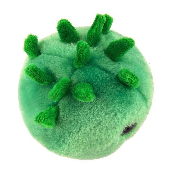 Chlamydia (Chlamydia Trachomatis) Giant Microbes 12” - Picture 8 of 9